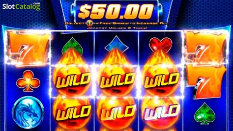 Wild fury jackpots game  Symbols pay from left to right in consecutive combinations (Ways)